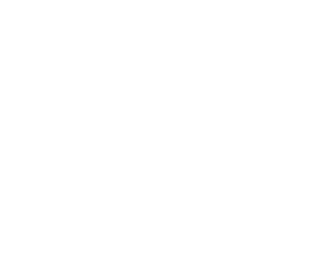 website-and-templates-ico-white-smile